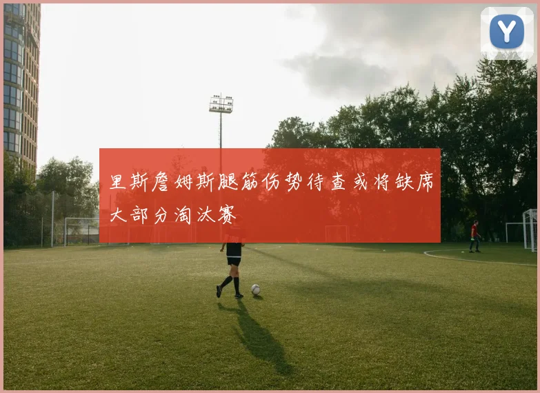 里斯詹姆斯腿筋伤势待查或将缺席大部分淘汰赛