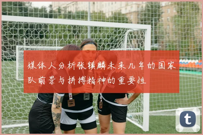 媒体人分析张镇麟未来几年的国家队前景与拼搏精神的重要性