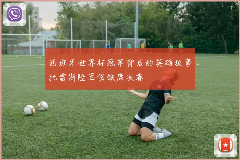 西班牙世界杯冠军背后的英雄故事托雷斯险因伤缺席决赛